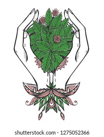 The woman hands holding mint bunch and mint flowers. Illustration about caring and beauty. Can be used as print. Nature spring element with leaves.
