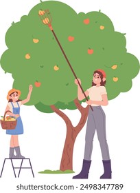 Woman harvest fruits from tree. Farm work illustration isolated on white background