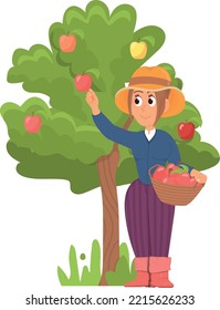 Woman harvesting apples from tree. Cartoon gardener worker