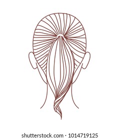 Woman Head Back View. Ponytail Hairstyle. Vector Illustration.