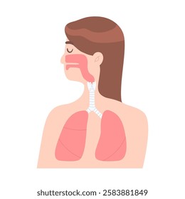 Woman with healthy lung isolated on white background. Cocnept of healthy lifestyle, internal organ, Respiratory sistem, anatomy, breathing, medical illustration flat vector style.