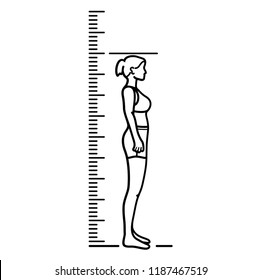 Body And Height Chart