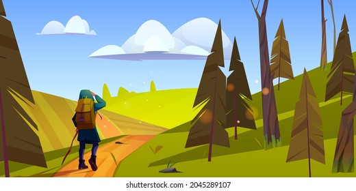 Woman hiker with stick and backpack walks on road from forest to green hills. Vector cartoon illustration of summer landscape with pines, fields and girl tourist