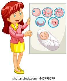 Woman holding diagram of embryo illustration