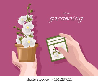 Woman holding with hands a sign with orchid flower description. About gardening idea. Vector