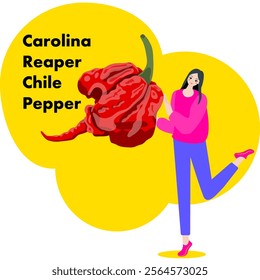 A woman holds Carolina Reaper pepper. Chili peppers. Isolated vector illustration.