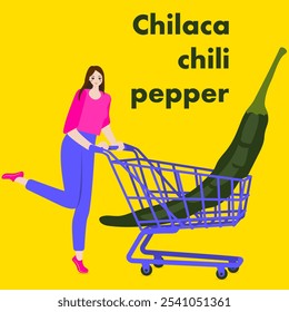 A woman holds cart with Chilaca chili pepper or Pasilla Bajio pepper. Isolated vector illustration.