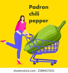 A woman holds cart with Padron Pepper.  Pimientos de Padron or Herbon pepper. Chili peppers. Isolated vector illustration.