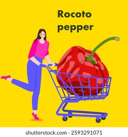 A woman holds cart with Rocoto pepper. Chili peppers. Isolated vector illustration.