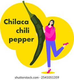 A woman holds Chilaca chili pepper or Pasilla Bajio pepper. Isolated vector illustration.