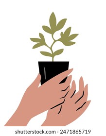 Woman holds a green sprout in her hands. Growing seedlings for the garden. Flowers and plants. Concept of caring for the environment. Vector flat illustration on white background
