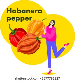 A woman holds Habanero chili peppers. Chile peppers. Isolated vector illustration.