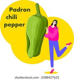 A woman holds Padron Pepper.  Pimientos de Padron or Herbon pepper. Chili peppers. Isolated vector illustration.