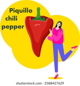 A woman holds Piquillo pepper.  Pimiento del piquillo pepper. Chili peppers. Isolated vector illustration.