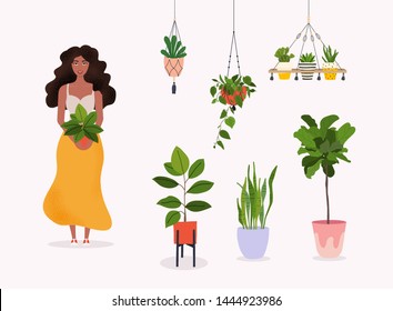 Woman holds a plant in pot. Set of macrame hangers for plants growing in pots. Flowerpot isolated objects, houseplant flower pot collection. 