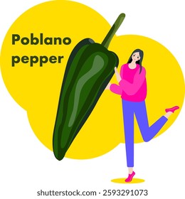 A woman holds Poblano pepper  or Pasilla pepper. Chili peppers. Isolated vector illustration.