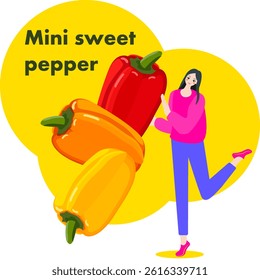 A woman holds red, yellow, orange mini sweet pepper Isolated vector illustration.