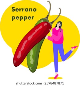 A woman holds Serrano pepper. Chili peppers. Isolated vector illustration.