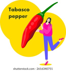 A woman holds Tabasco pepper.  Chili peppers. Isolated vector illustration.