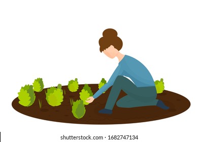 Woman kneeling, working in the garden with plants and grass in vector design. Graphic illustration ecology, agriculture concept, isolated on white background. Stylish countryside