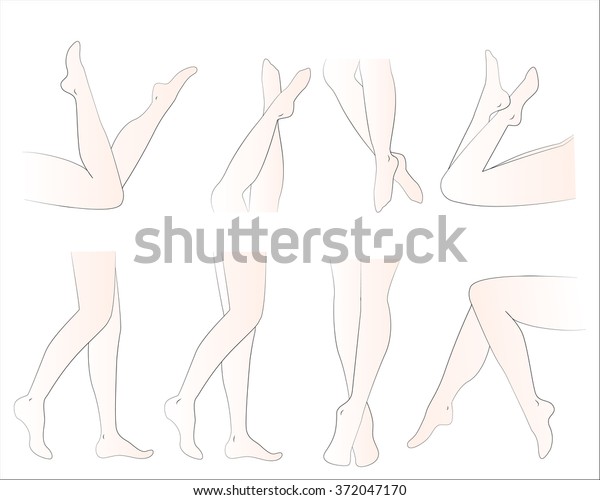 Woman Legs Different Poses Set Elegant Stock Vector (Royalty Free ...