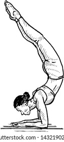 A woman maintaining the yoga posture of the Feathered Peacock pose also known as Elbow stand. Hand drawn vector illustration. 