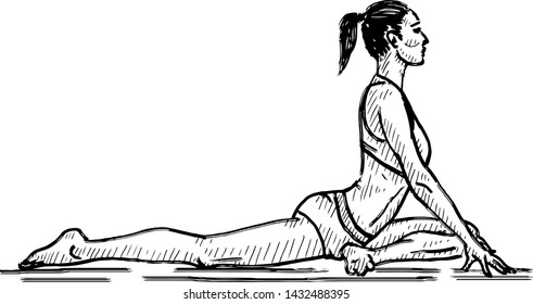 A woman maintaining the yoga posture of the Pigeon pose. Hand drawn vector illustration. 