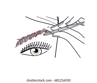 Woman making brow shape. Vector illustration.
