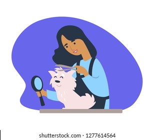 Woman making new haircut to canine domesticated animal vector. Lady holding zooming magnifying glass to see female cutting hair of poodle purebred pet isolated. Person caring for doggy hygiene