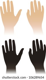Woman, man hands isolated on white (vector illustration)