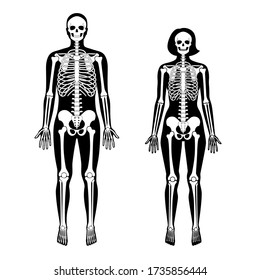 Woman and man skeleton anatomy in front view. Vector black isolated flat illustration of human skull and bones in body. Halloween, medical, educational or science banner.