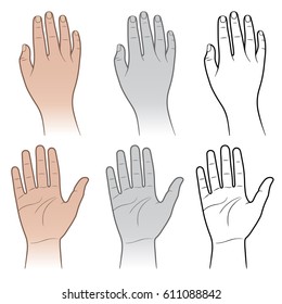 Woman, man tanned & grey hands isolated on white (vector illustration)