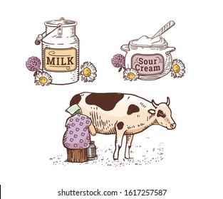 Woman milks a cow. Sour cream, cow, milkmaid, farm. Label base. Wildflowers.