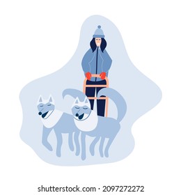 Woman musher riding dog sled team. Happy woman rides husky team dog sled. Vecgtor stock illustration.