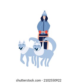 Woman musher riding dog sled team. Happy woman rides husky team dog sled. Vecgtor stock illustration.