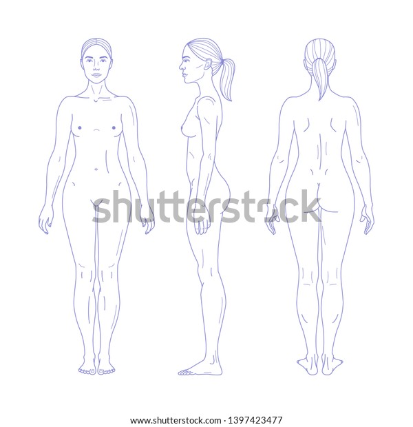リアルな線形の女性の裸の全長の影法師 正面図 背面図 側面図 白い背景にベクターイラスト のベクター画像素材 ロイヤリティフリー