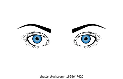 Las mujeres abren los ojos en color azul en forma de contorno. Las pestañas y cejas dibujadas a mano aisladas en el fondo blanco. Ilustración del vector