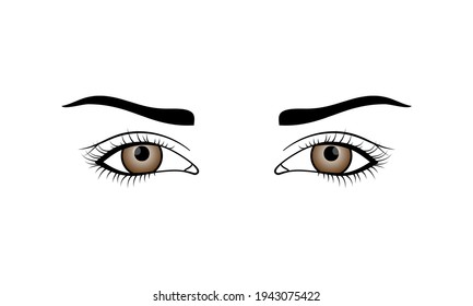 Woman open eyes in brown color in outline style. Female hand drawn eye eyelash and eyebrow isolated on white background. Vector illustration