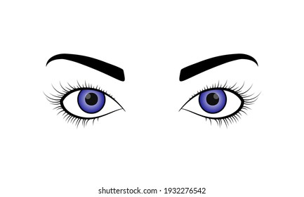 Woman open eyes in violet blue color in outline style. Female hand drawn eye eyelash and eyebrow isolated on white background. Vector illustration