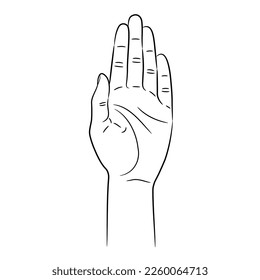 Woman palm hand in front, female well - groomed fingers, sketch draw from contour black brush lines different thickness on white background. Vector illustration.