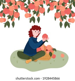 Woman pick fruits in basket. Gardener pluck peach in garden. Girl sit under peach tree. Organic local harvest.  Girl is in Garden.