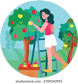 Woman picking apple from tree vector scene