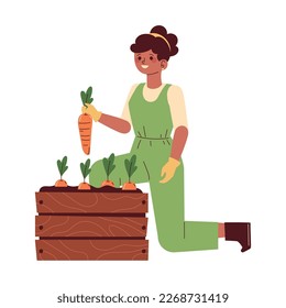 woman picking carrots, ecological sustainability