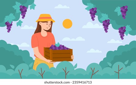 Concepto de uvas recogidas por mujeres. Agricultura y agricultura. Niña joven con productos naturales y orgánicos. Los agricultores trabajan en la granja, cosechando. Aldea y campo. Dibujo vectorial plano de dibujos animados