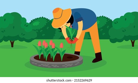 woman planting flowers in a flower bed