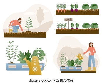Woman planting gardens flowers, agriculture gardener hobby and garden job. Gardener flowers cutter working. 