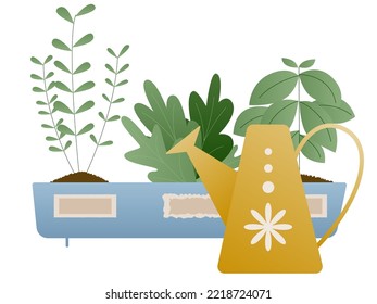 Woman planting gardens flowers, agriculture gardener hobby and garden job. Gardener flowers cutter working. 