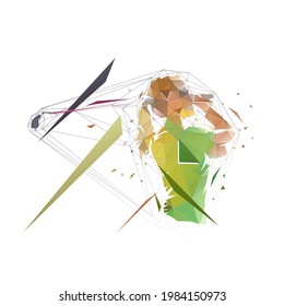 Woman playing golf, isolated low polygonal vector illustration. Golf swing, side view