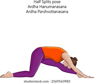 Woman practicing Ardha Hanumanasana yoga pose. Half Splits pose or Half Divine Monkey pose. Intermediate Difficulty. Isolated vector illustration.