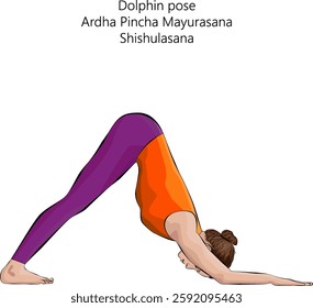 Woman practicing Ardha Pincha Mayurasana yoga pose. Dolphin pose or Turbo Dog pose. Shishulasana. Isolated vector illustration.